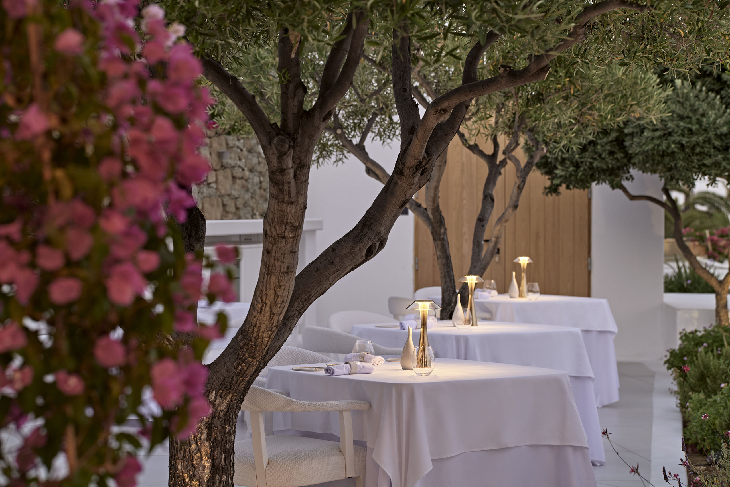 Botrini's Mykonos 07